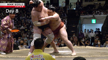 GRAND SUMO Highlights Сезон 11