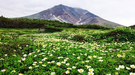 Wild Hokkaido! Сезон 1