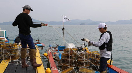 삼시세끼 어촌편 시즌 3