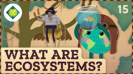 What Are Ecosystems? (2021) - Episode 15 poster and promotional image
