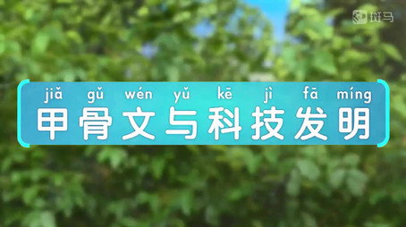 斑马百科 Сезон 24