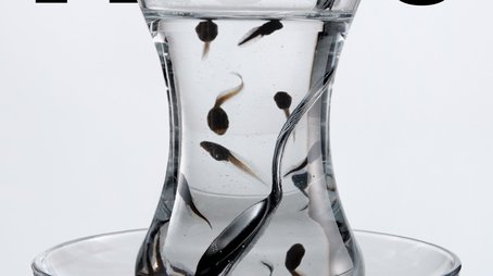 Frogs (2023) poster