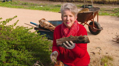 Episode 8 (2019) - Episode 8 poster and promotional image