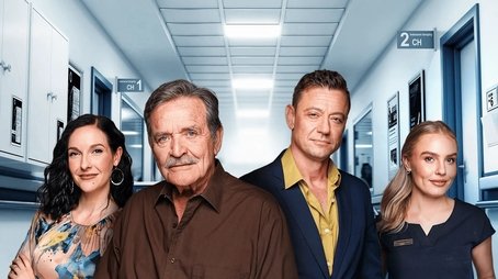 Binnelanders (2005) poster