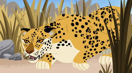 Wild Kratts Сезон 7