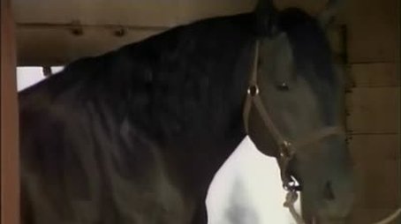 Stallion (1972) - Episode 9 poster and promotional image