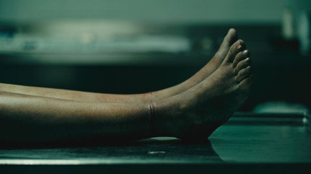 El forense Сезон 1