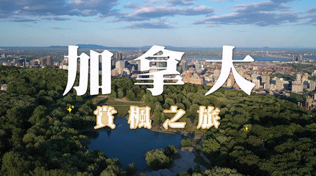 730 玩返轉 Сезон 1