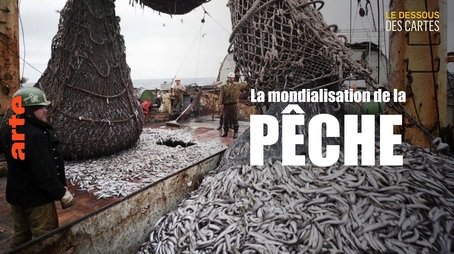 Fish: The globalized fishery (2022) - Episode 12 poster and promotional image