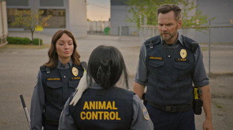 Animal Control Сезон 4