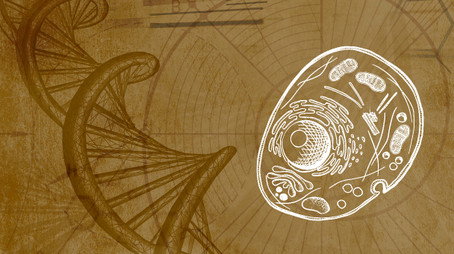 Inner Evolution Évad 1