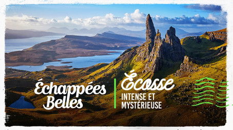 Episode 37 (2017) - Episode 37 poster and promotional image