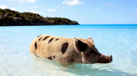 Episode 280 (2018) - Episode 280 poster and promotional image