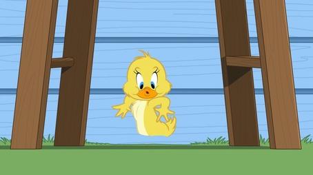 O Show de Tom e Jerry26