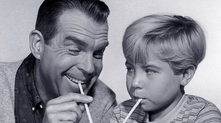 My Three Sons (1960) poster