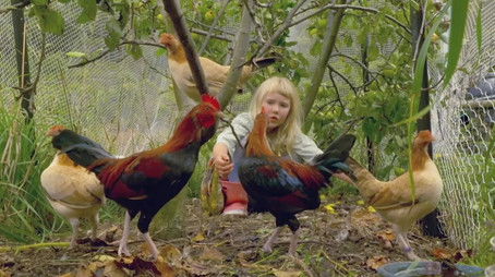 Episode 4 Winter Planting, Native Plants, Papaya & Seeds (2022) - Episode 4 poster and promotional image