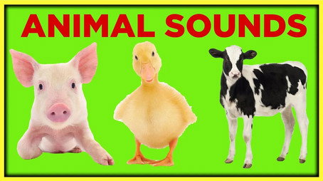 Ms. Rachel - Songs for Littles - Toddler Learning Videos Сезон 2
