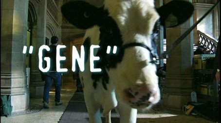 "Gene" A Tale of Two (Actually Three) Bovines (None) - Episode 26 poster and promotional image