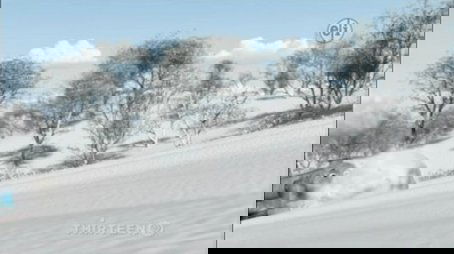 Snow Tracks