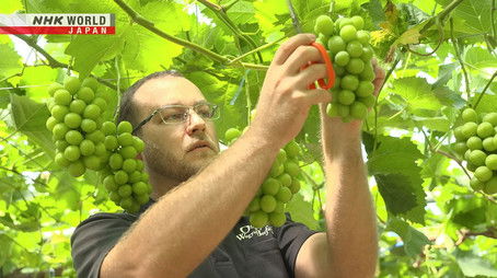 Growing Tasty Shiny Jewels (2022) - Episode 30 poster and promotional image