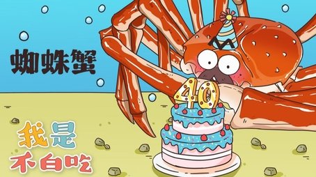 Episode 204 (None) - Episode 204 poster and promotional image