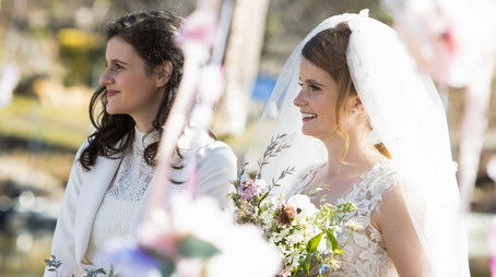 Gulf Fritillary Butterfly (2021) - Episode 10 poster and promotional image