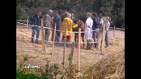 Episode 26 (2004) - Episode 26 poster and promotional image