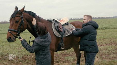 Horse Whisperer (2020) - Episode 75 poster and promotional image