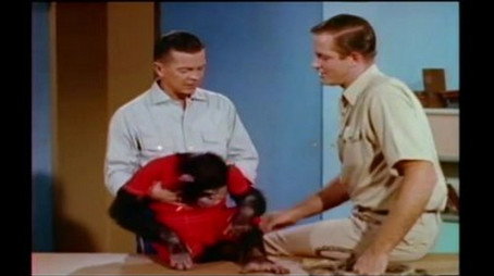 Mutual of Omaha's Wild Kingdom Сезон 2