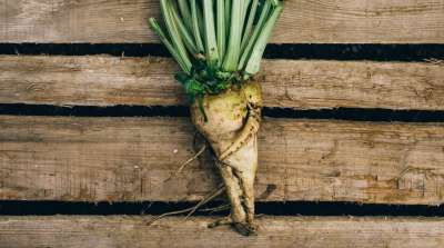 Sugar, Feather Dusters, Balloons (2017) - Episode 18 poster and promotional image