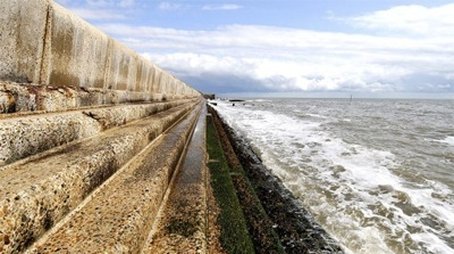 The Wild Places of Essex (2010) - Episode 12 poster and promotional image