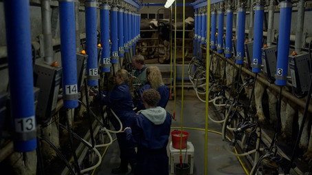 Boer zoekt Vrouw Évad 14