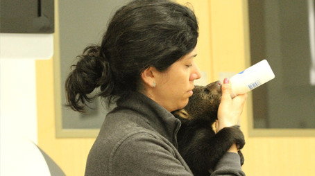 Secrets of the Zoo: Tampa Stagione 1