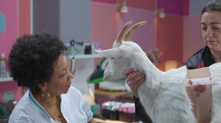 Starý pes, nové kousky Sezóna 1