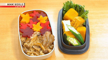 BENTO EXPO 시즌 8
