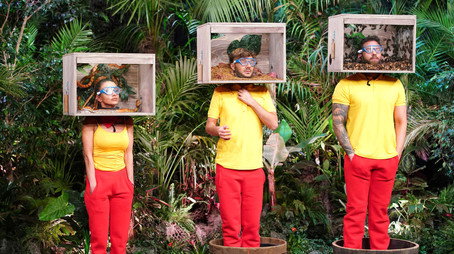 Ich bin ein Star - Die große Dschungelshow Sezóna 1