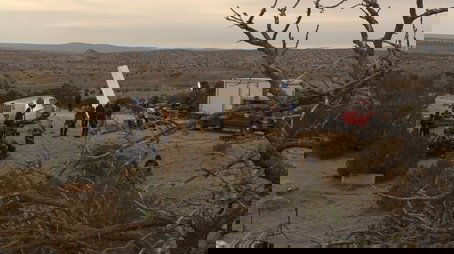 Tod in New Mexico