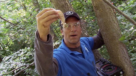 Dirty Jobs Сезон 3