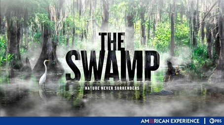 The Swamp (2019) - Episode 1 poster and promotional image