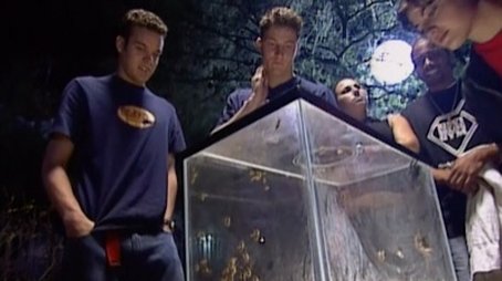 Alligators, Bugs, and Snakes Oh My!!! (2002) - Episode 7 poster and promotional image