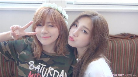 에이핑크 다이어리 Сезон 2