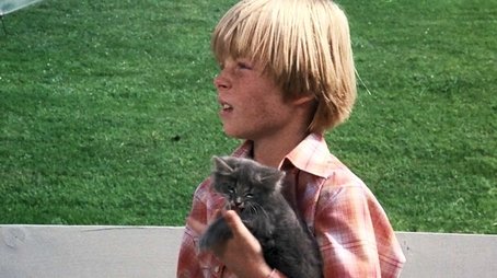 To Kill an Angel (1976) - Episode 7 poster and promotional image