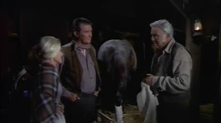 The Saddle Stiff (1972) - Episode 17 poster and promotional image