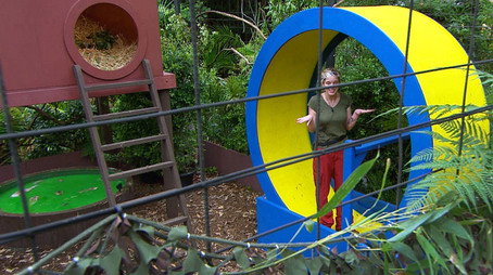 I'm a Celebrity...Get Me Out of Here! Сезон 12