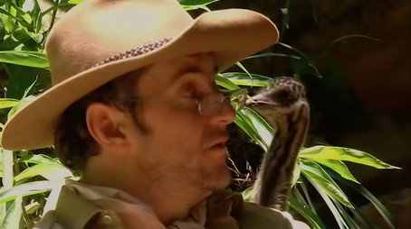 I'm a Celebrity...Get Me Out of Here! Сезон 4