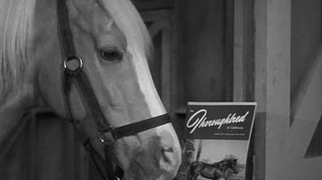 Wilbur Sells Ed (1961) - Episode 26 poster and promotional image