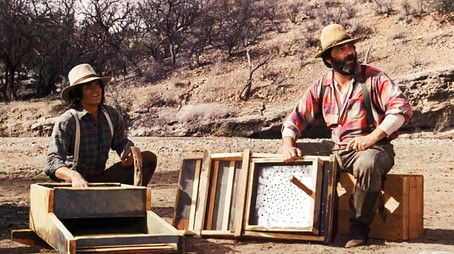 Gold Country (1977) - Episode 21 poster and promotional image