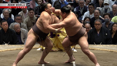 GRAND SUMO Highlights Сезон 35