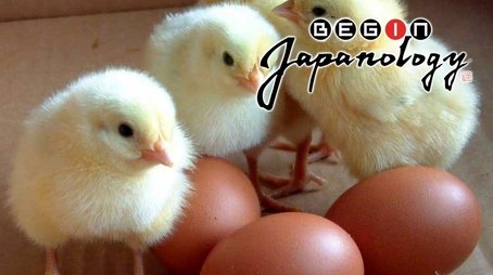 Chickens and Eggs (2011) - Episode 43 poster and promotional image