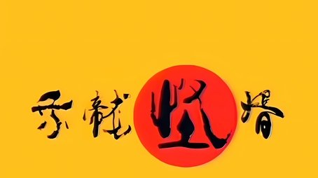 乘龙怪婿 (2005) poster